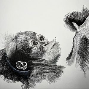 Baby orangutan art print